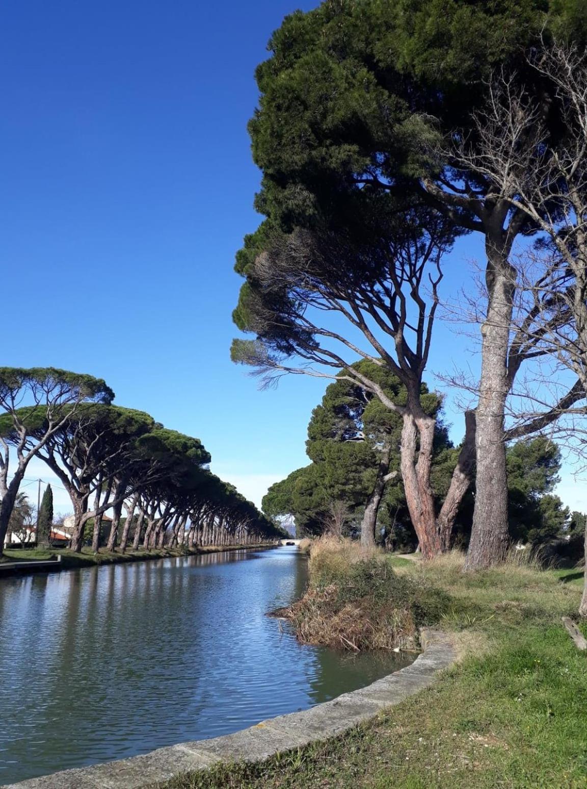 La Promesse De L Aude Apartment Salleles-d'Aude ภายนอก รูปภาพ